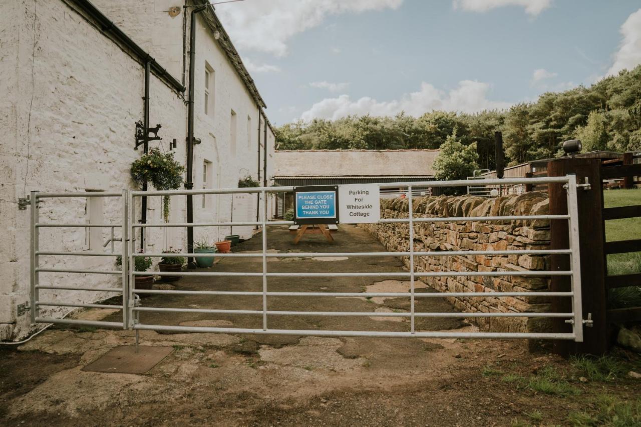 White Side Cottage Haltwhistle Extérieur photo